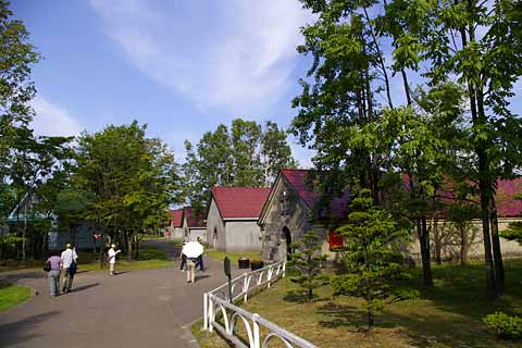 ��i�ϒO���R�[�X