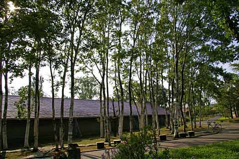 ��i�ϒO���R�[�X