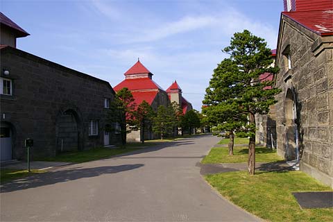 ��i�ϒO���R�[�X