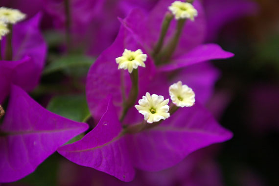 ���C�t�����[�Z���^�[