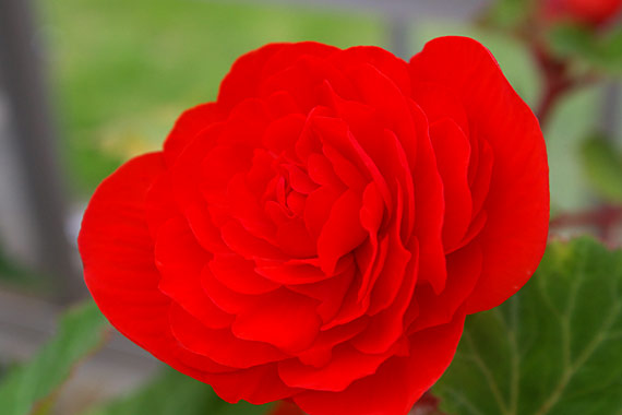 ���C�t�����[�Z���^�[��