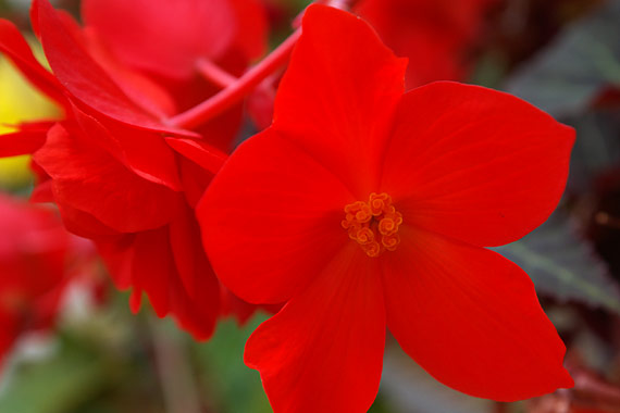 ���C�t�����[�Z���^�[