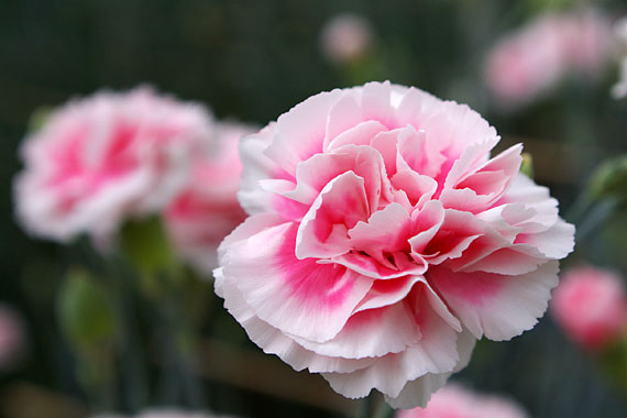 ���C�t�����[�Z���^�[