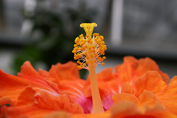 ���C�t�����[�Z���^�[