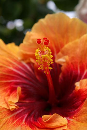 ���C�t�����[�Z���^�[