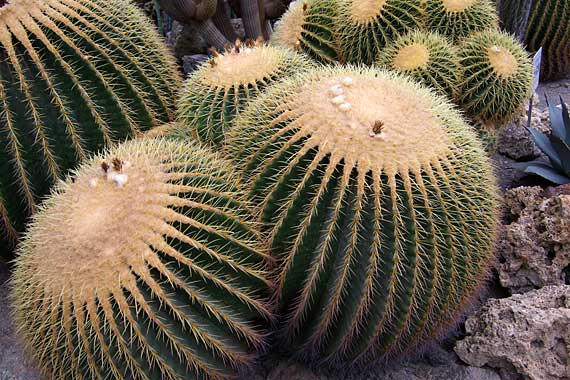 ���C�t�����[�Z���^�[