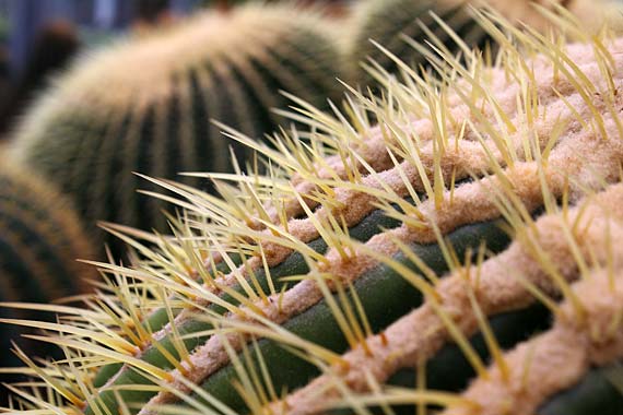 ���C�t�����[�Z���^�[