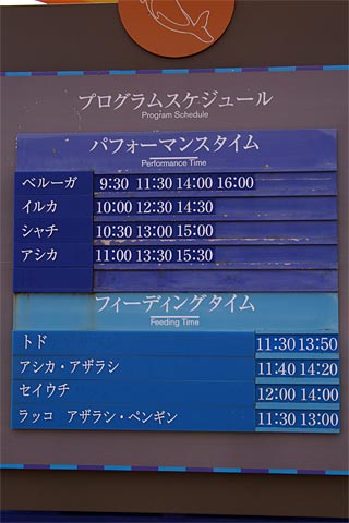 ����V�[���[���h