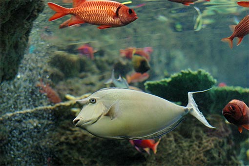 ����V�[���[���h