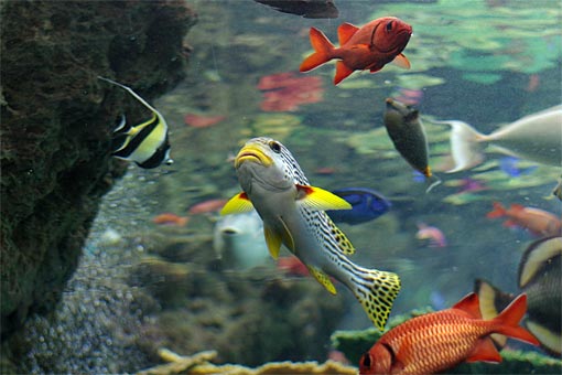 ����V�[���[���h