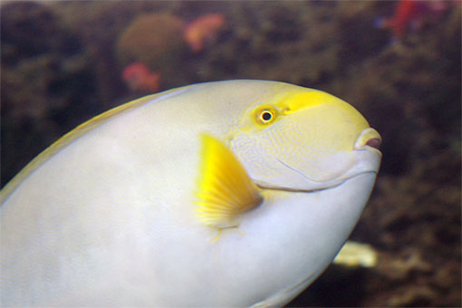 ����V�[���[���h