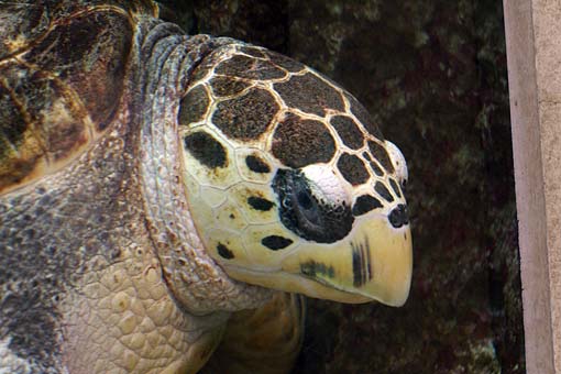 ����V�[���[���h