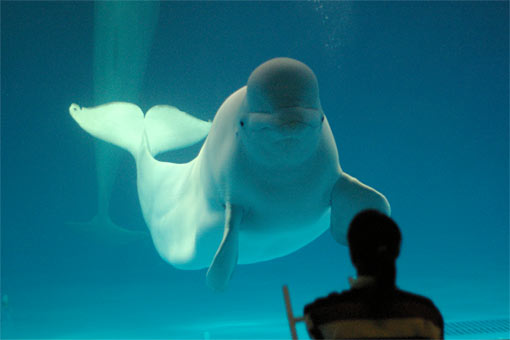 ����V�[���[���h