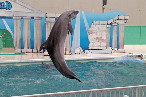 ����V�[���[���h