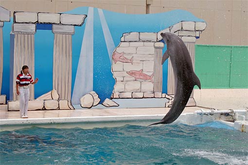 ����V�[���[���h