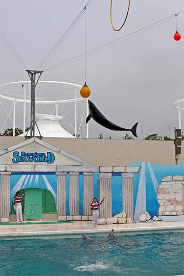 ����V�[���[���h