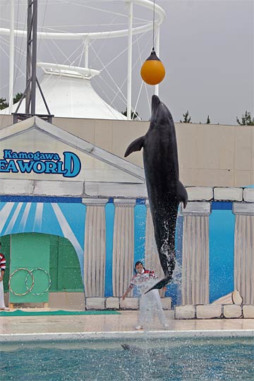 ����V�[���[���h