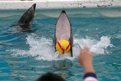 ����V�[���[���h