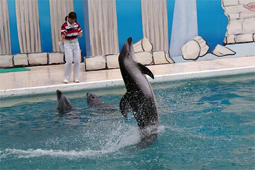 ����V�[���[���h