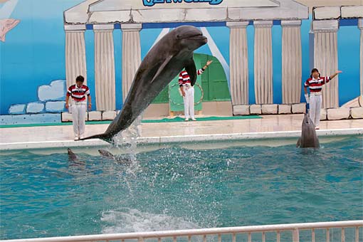 ����V�[���[���h