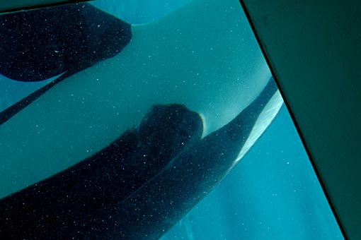 ����V�[���[���h