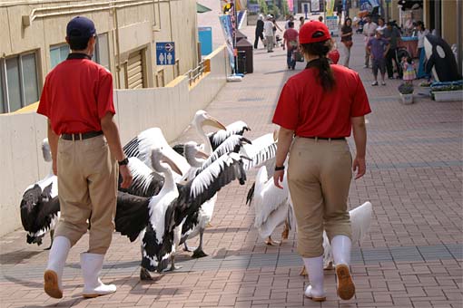 ����V�[���[���h