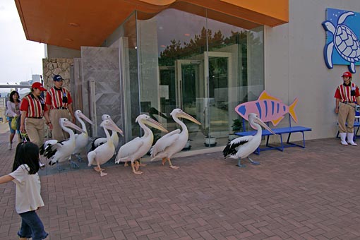 ����V�[���[���h