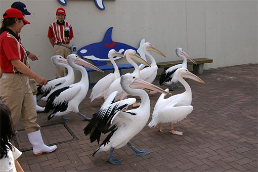 ����V�[���[���h