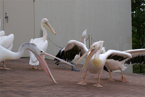 ����V�[���[���h