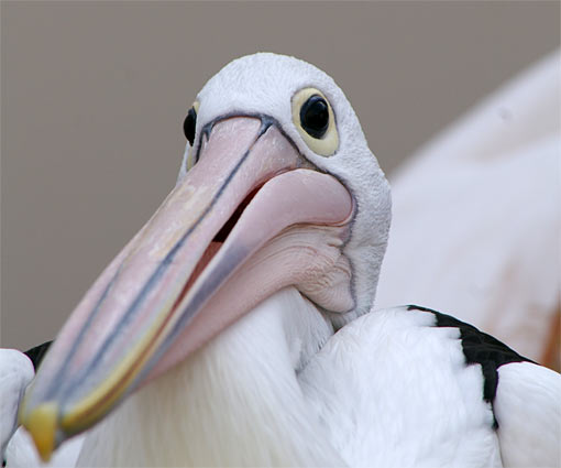 ����V�[���[���h