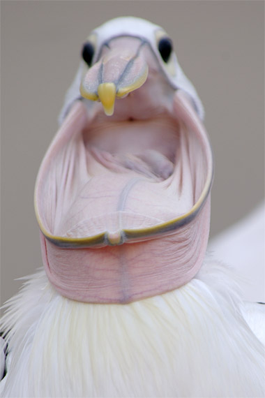 ����V�[���[���h