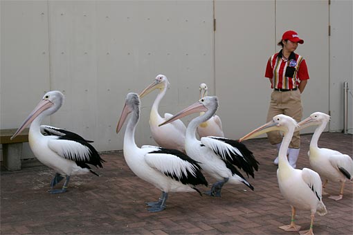 ����V�[���[���h