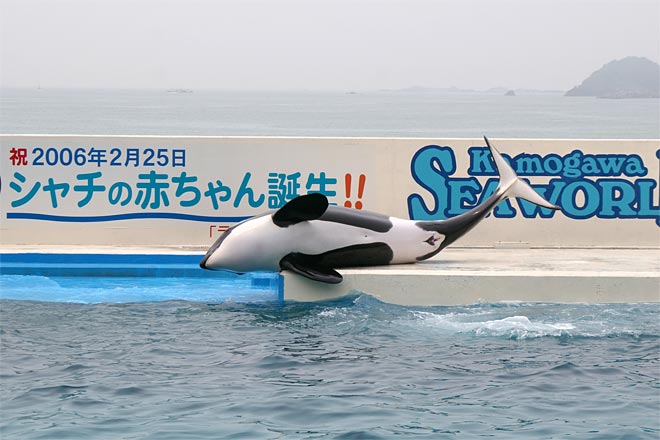 ����V�[���[���h