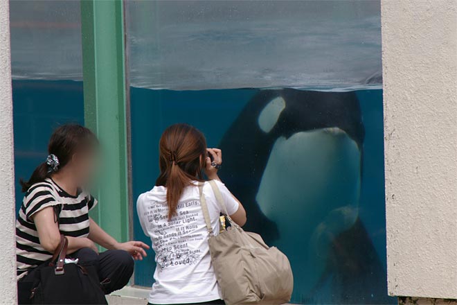 ����V�[���[���h