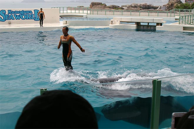 ����V�[���[���h