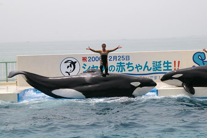 ����V�[���[���h