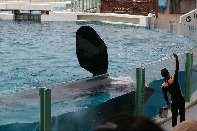 ����V�[���[���h