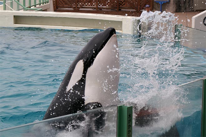 ����V�[���[���h