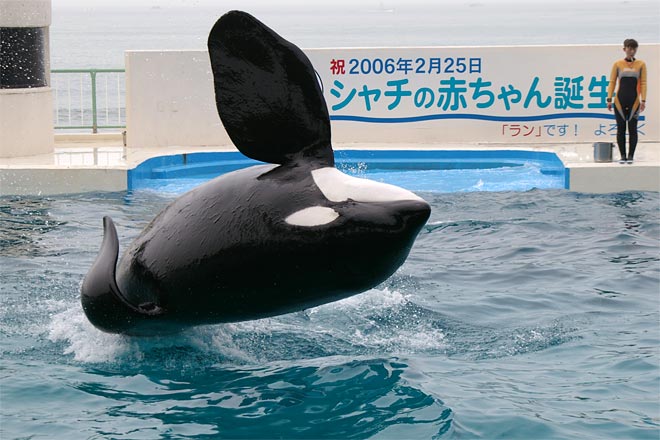 ����V�[���[���h