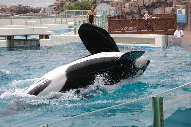 ����V�[���[���h