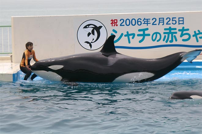 ����V�[���[���h