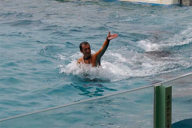 ����V�[���[���h