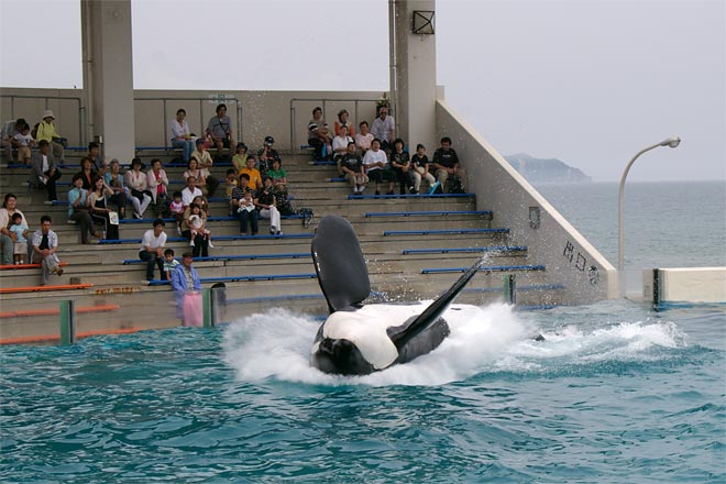 ����V�[���[���h