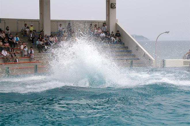 ����V�[���[���h