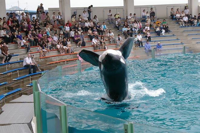 ����V�[���[���h