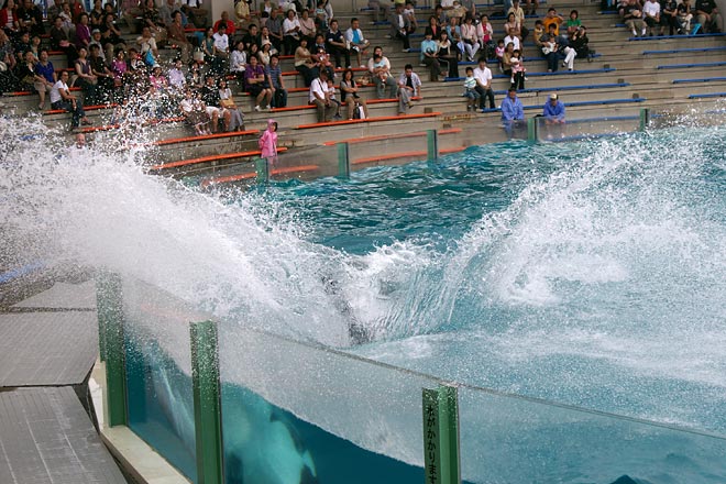 ����V�[���[���h