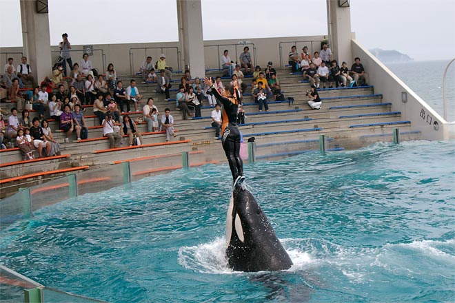 ����V�[���[���h