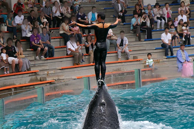 ����V�[���[���h