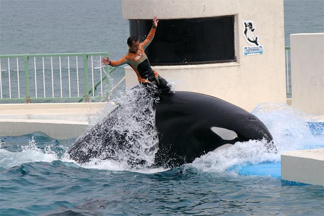 ����V�[���[���h