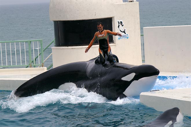 ����V�[���[���h